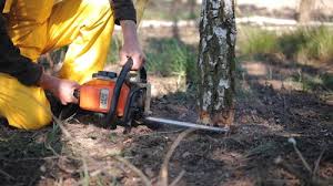 Soil Testing and Treatment in St Anthony, ID